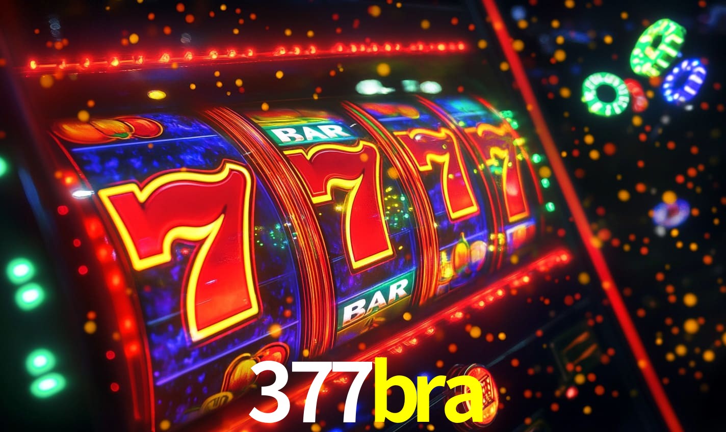 377bra.com