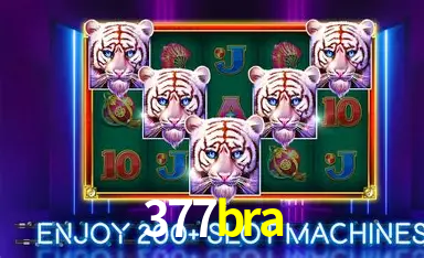 A Emoção da Loteria na 377bra: Uma Chance de Mudança de Vida